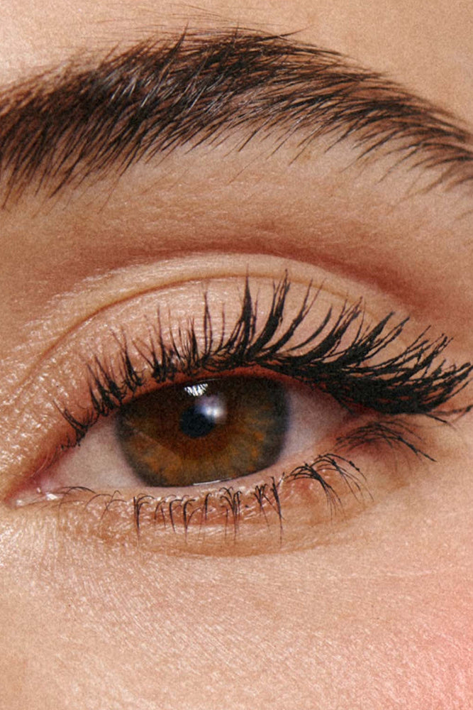 Eye Level Close Up