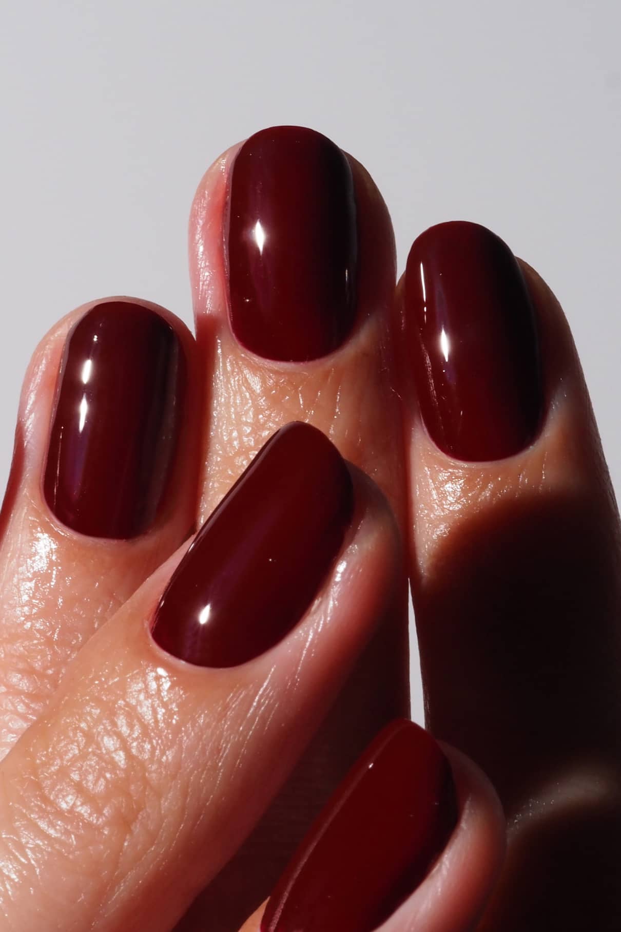 Collection de plantes