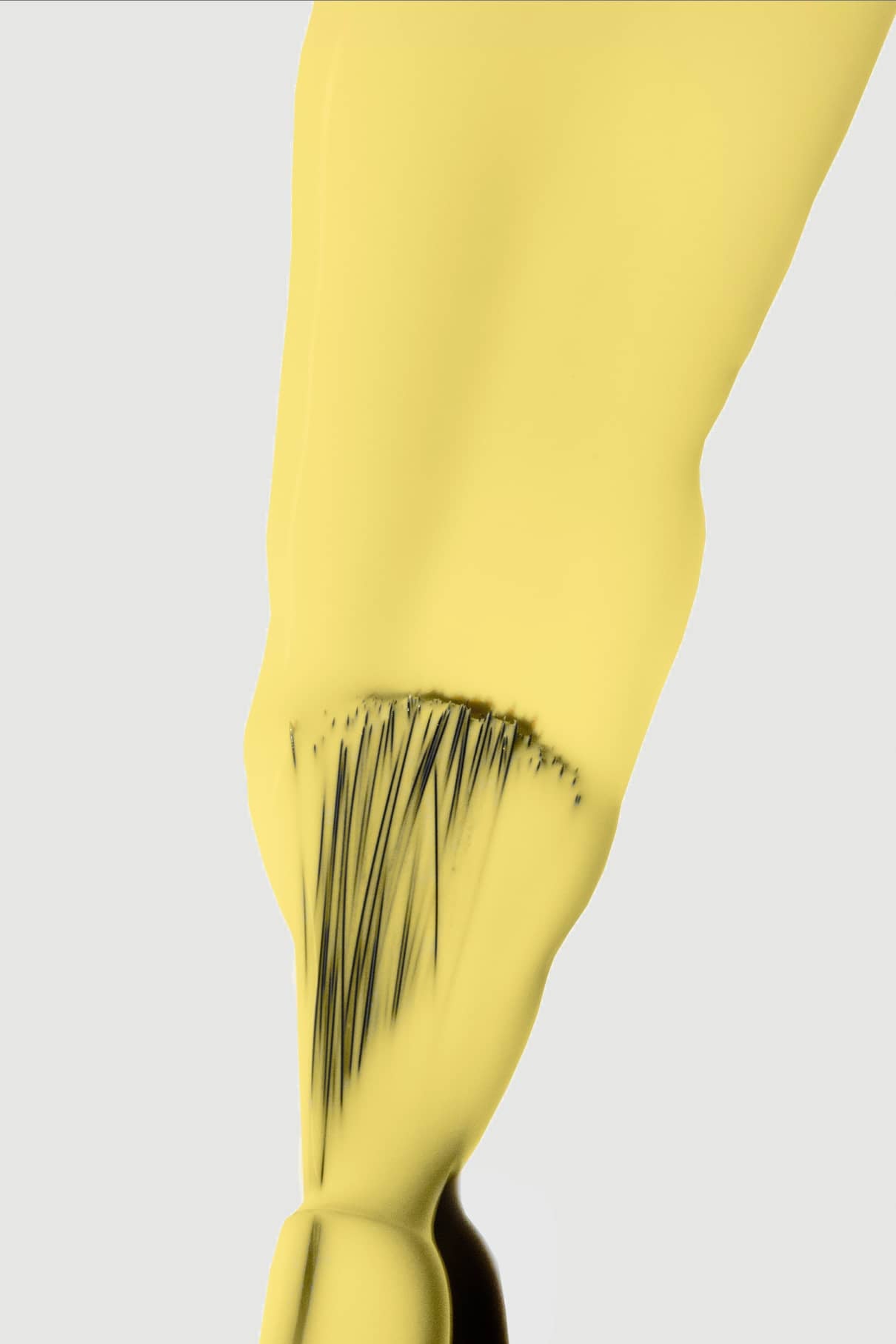 Eine Nahaufnahme des gitti no. 137 Pinsel in leuchtendes Gelb mit schwarzen Borsten, dargestellt vor einem schlichten hellgrauen Hintergrund.