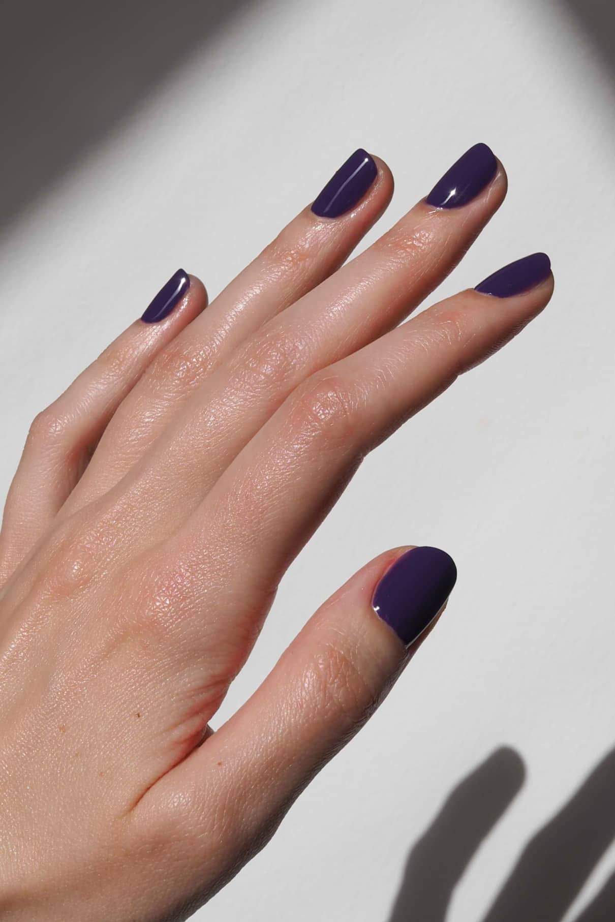 Eine Hand mit kurzen Nägeln, lackiert mit glänzendem Gitti Nr. 168, einem tiefvioletten Nagellack, vor einem weißen Hintergrund mit natürlichem Licht und weichen Schatten.