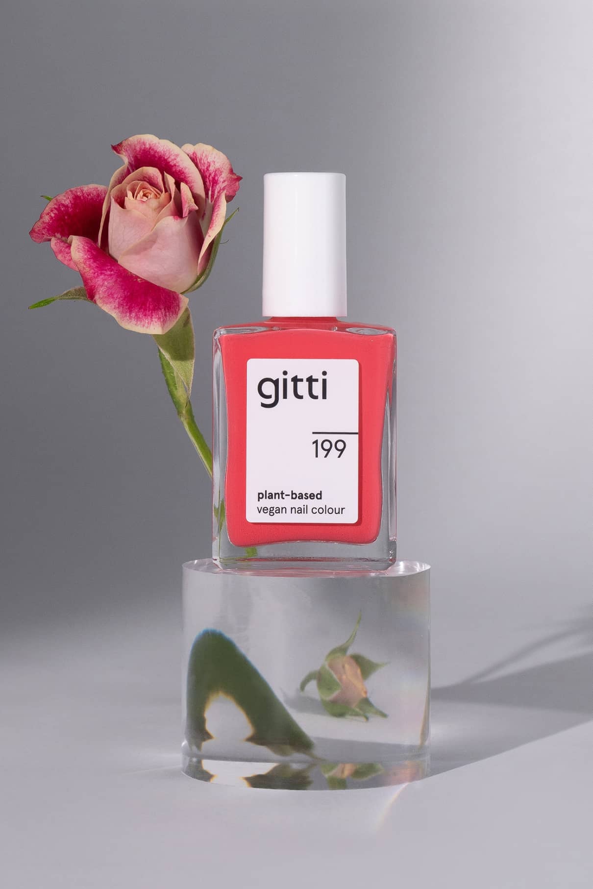Eine Flasche der veganen Nagelfarbe gitti no. 199 vegane Nagelfarbe, die von Rosa- und Rottönen inspiriert ist, steht auf einem Glasblock neben einer rosa Rose vor einem neutralen Hintergrund.