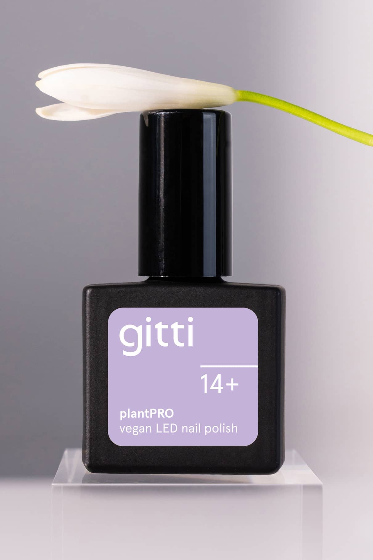 Ein schwarzes Fläschchen mit gitti no. Der vegane LED-Nagellack Intensives Lavendel von gitti no. 14+ mit einer weißen Blume auf der Kappe wird vor einem neutralen Hintergrund präsentiert, um seinen kühlen Unterton zu betonen.