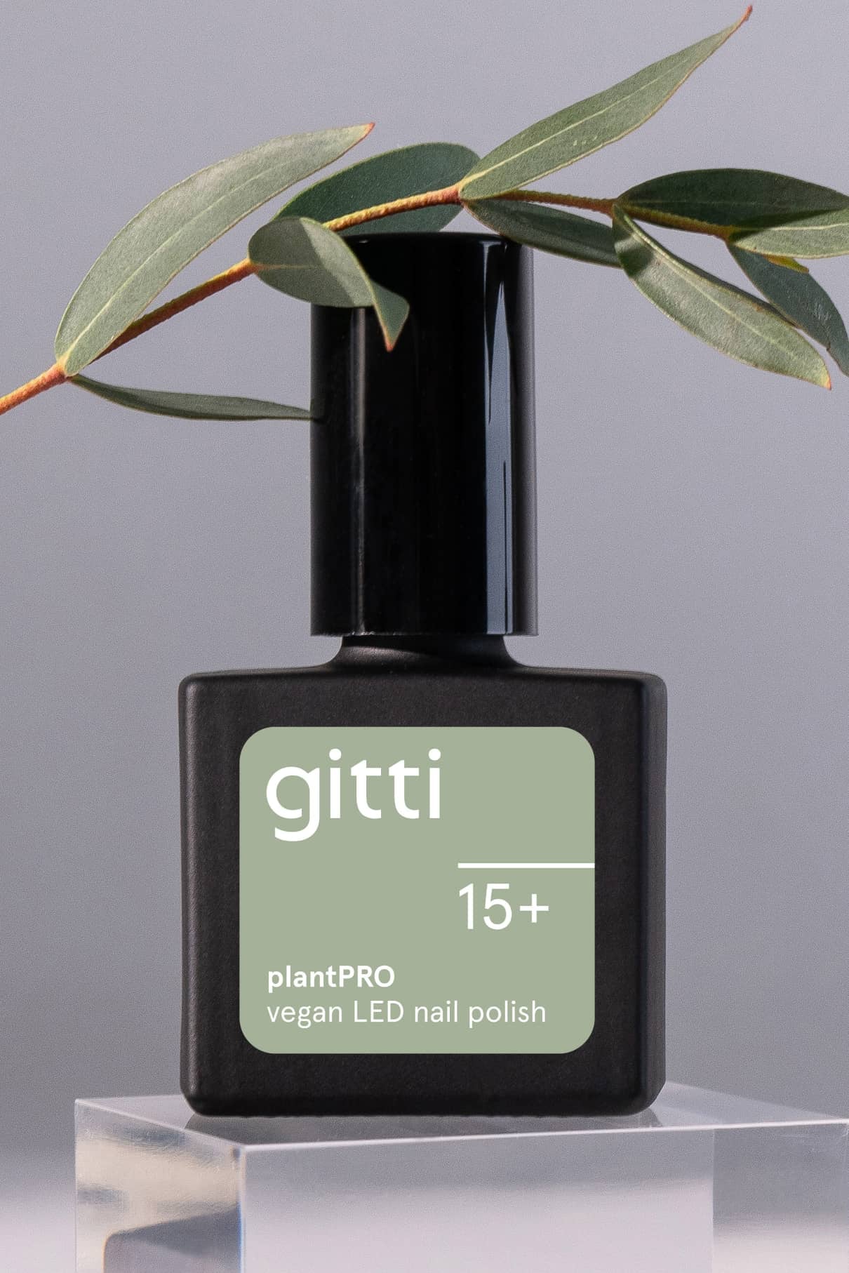 Eine schwarze Flasche des gitti no. 15+ vegan LED Nagellack in Salbeigrün steht auf einem durchsichtigen Block, über dem ein grüner Blätterzweig ruht.