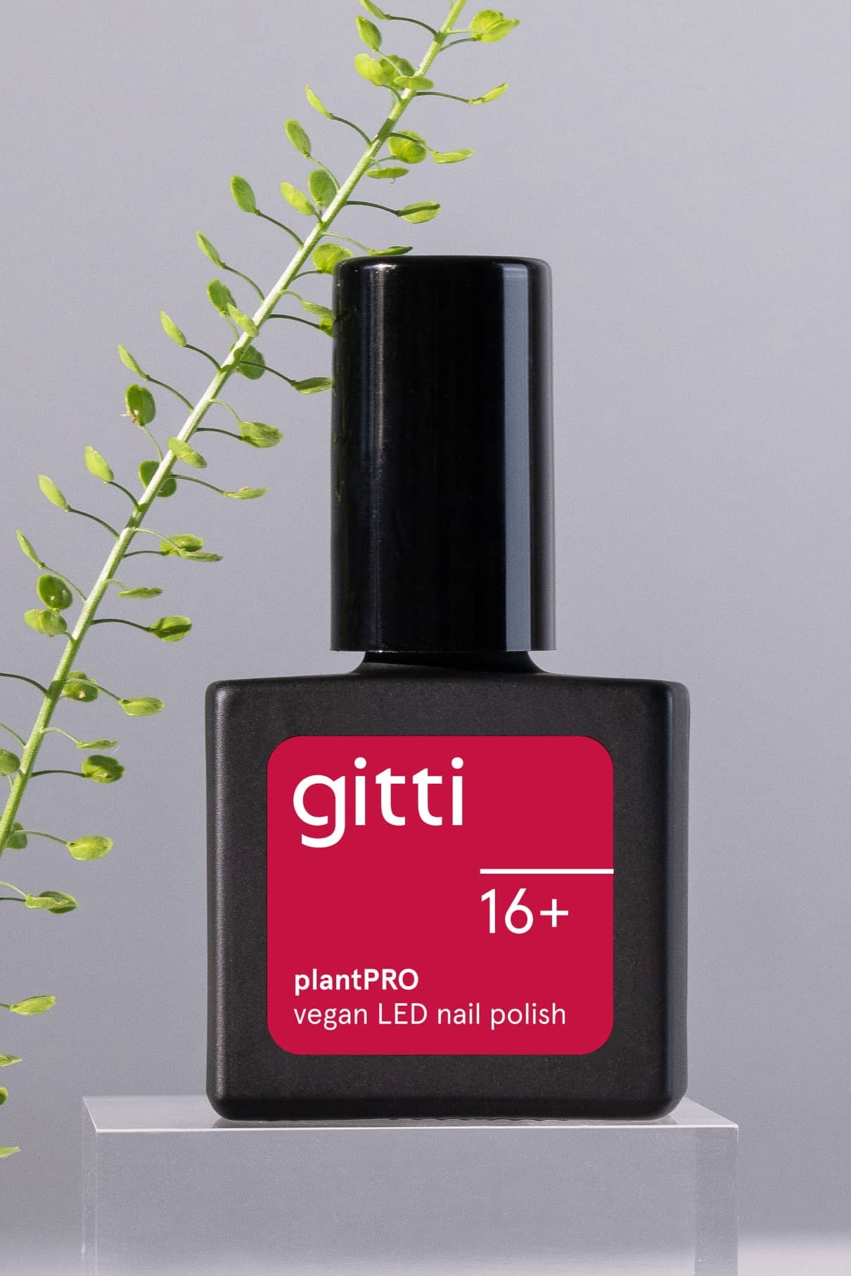 Eine schwarze Flasche mit gitti no. Der vegane LED-Nagellack 16+ in Beerenrosa steht auf einem durchsichtigen Ständer neben einem grünen Blattstiel vor einem hellgrauen Hintergrund.