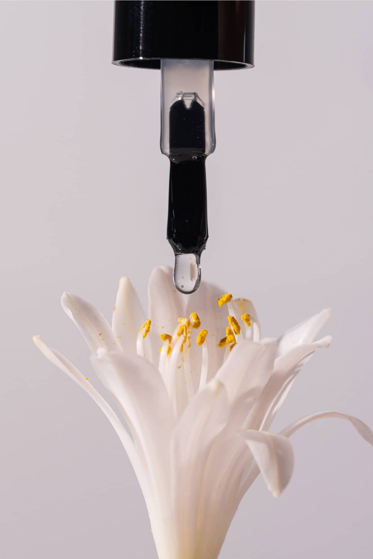 Ein Tropfer gibt einen Flüssigkeitstropfen über einer weißen Blume mit gelben Staubgefäßen frei, der die Reinheit des plantPRO Base Coat für makellose Gelnägel unterstreicht.