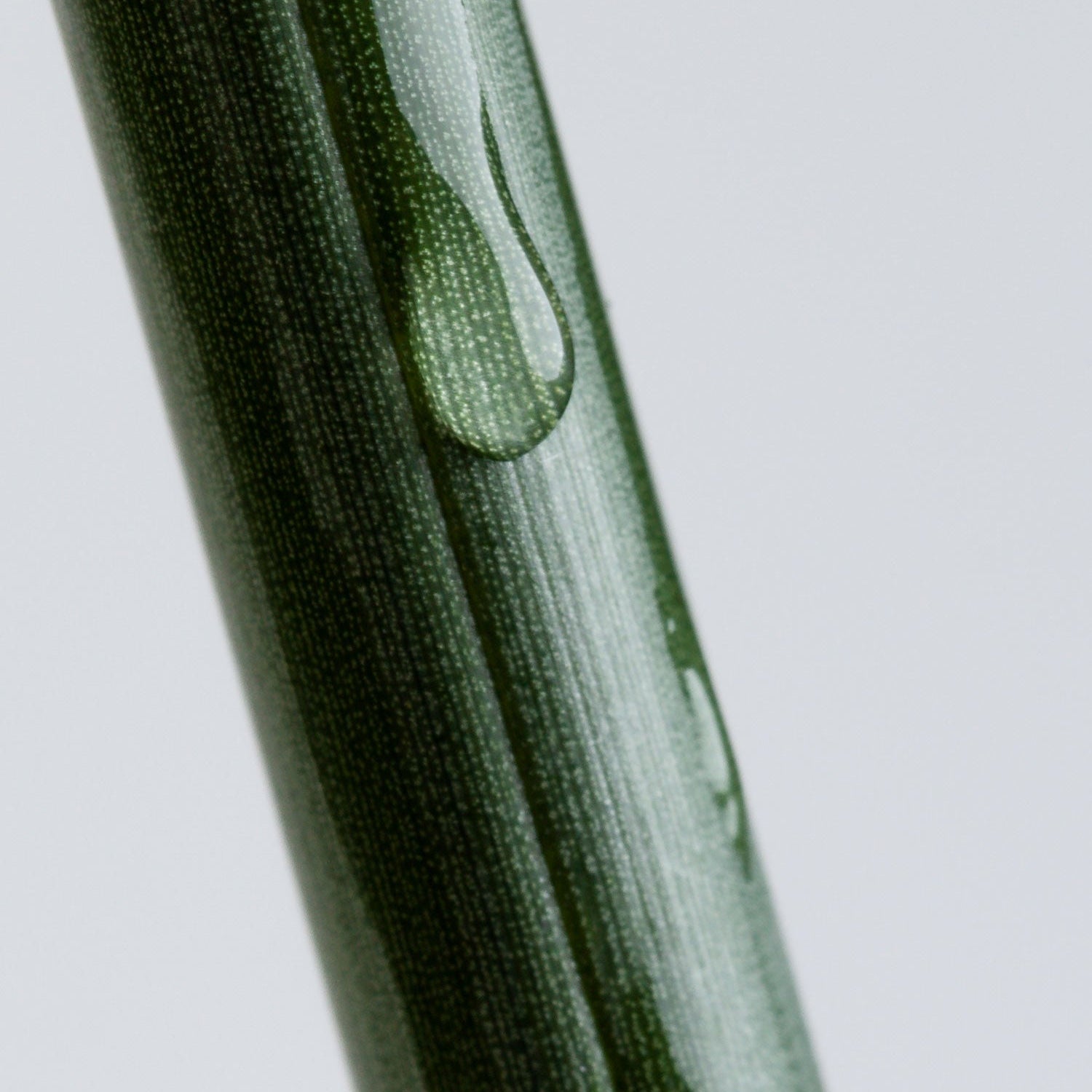 Pflanze mit Texture, Inhaltsstoffe