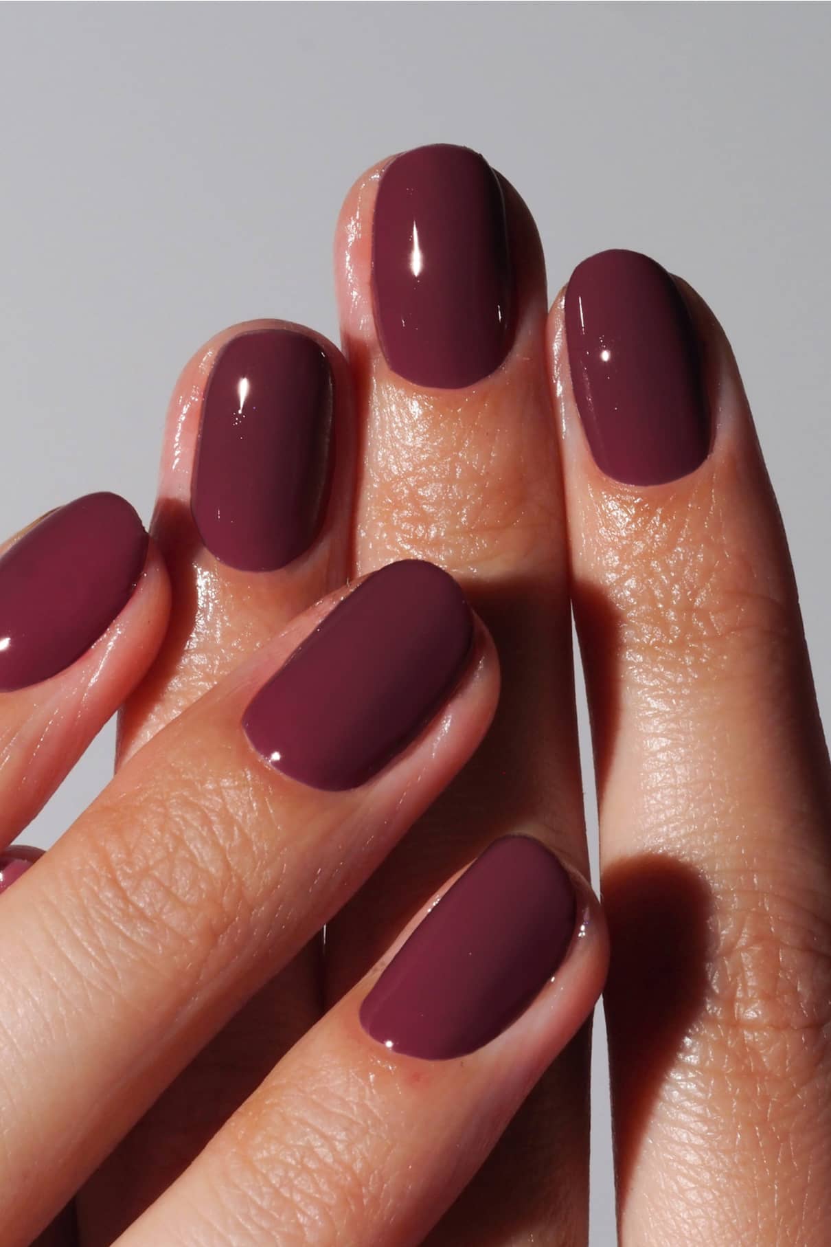 Ensemble essentiel plantPRO